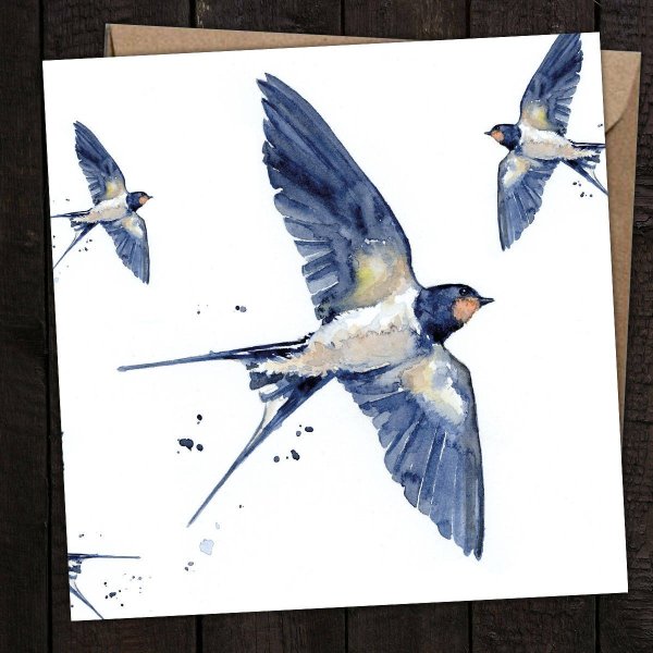 Птица Ласточка акварель