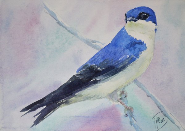 Ласточка гуашью