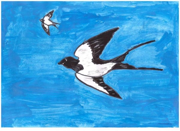 Рисование гуашью ласточек