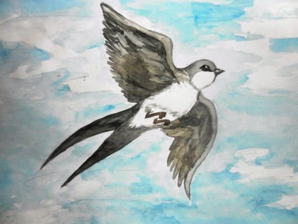 Рисование красками ласточку