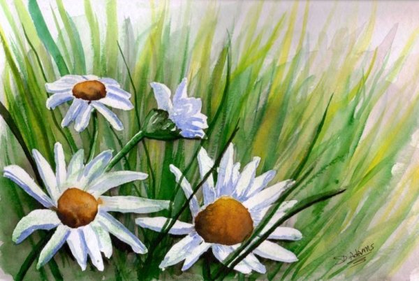 Ромашки акварелью для начинающих