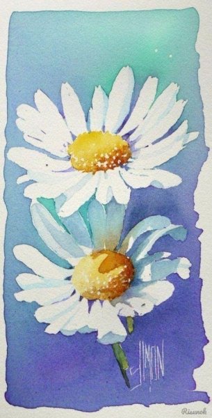 Ромашки гуашью