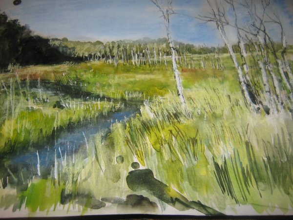 Болото гуашью