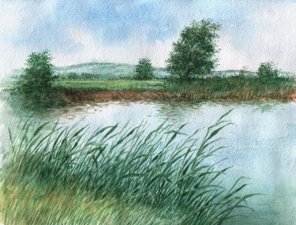 Природа цветными карандашами