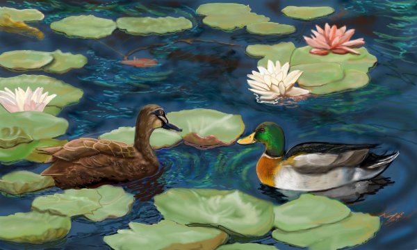 Утки и кувшинки
