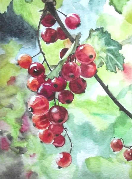 Акварельная живопись фрукты