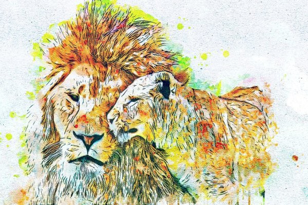 Лев рисунок