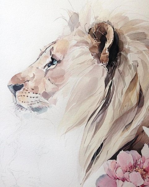 Наталья Каданцева акварель львы