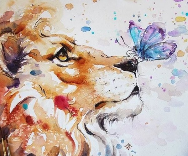 Акварельные рисунки