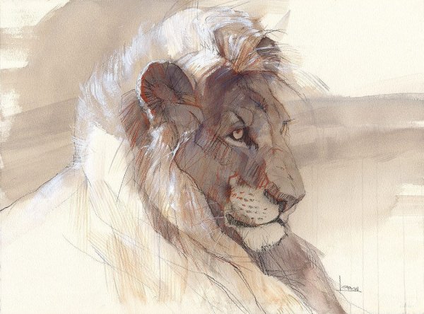 Художник анималист акварелист