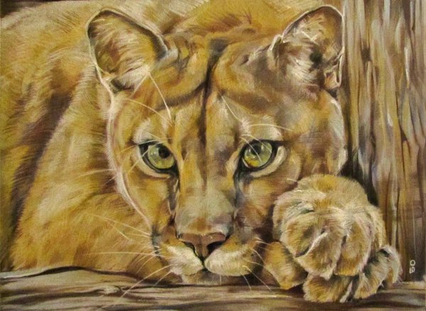 Дикие животные пастелью