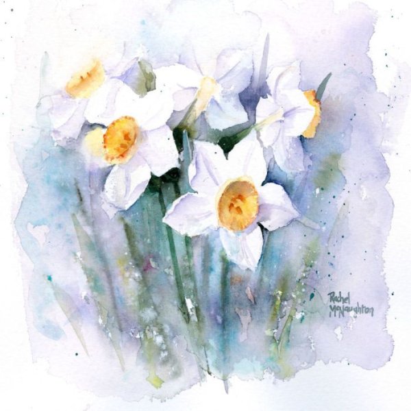 Акварели Рэйчел МАКНОТОН