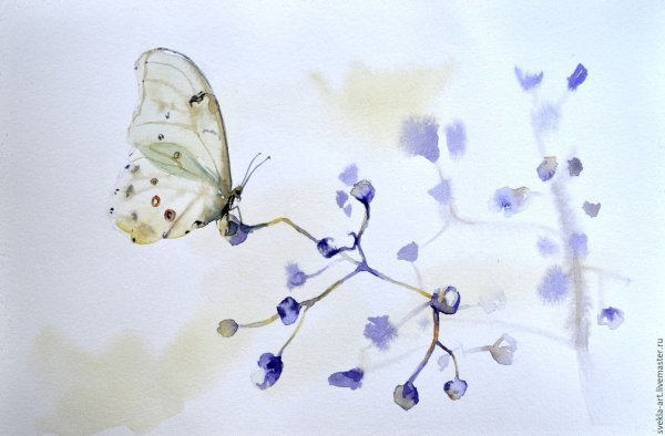 Акварель "бабочка"