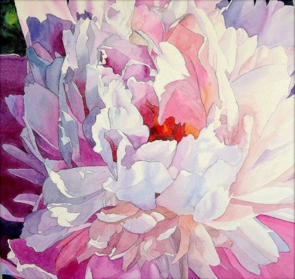 Cathy Hillegas пионы