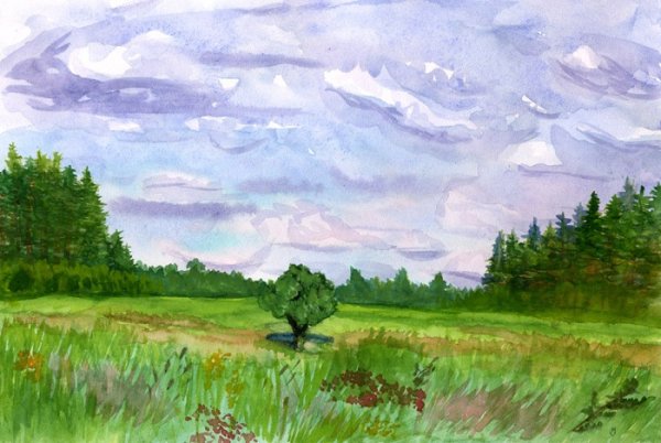 Рисунок гуашью пейзаж поле
