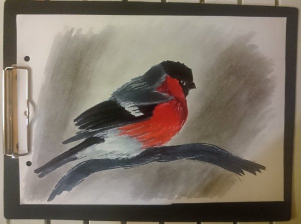 Зимние сюжеты для рисования