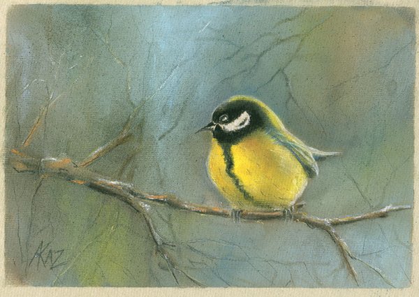 Синица пастелью