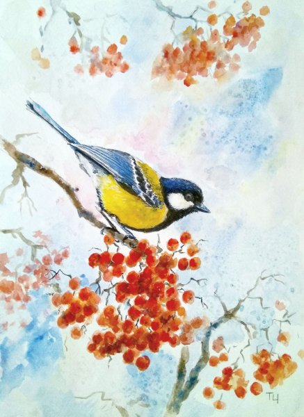 Птички синички акварель