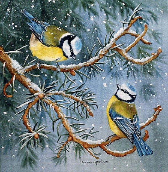 Синички зимой