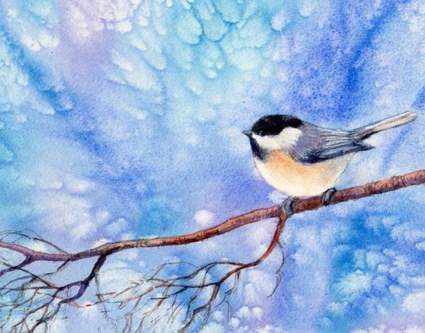 Синица зимой акварель