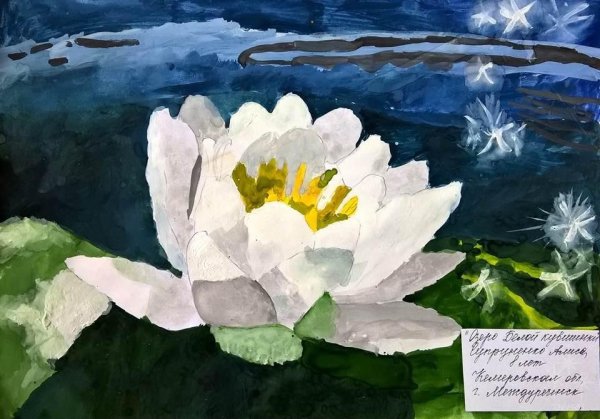 Кувшинки гуашью
