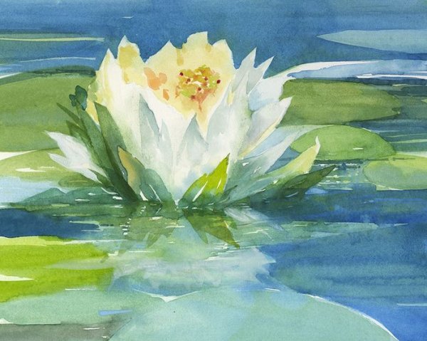 Водяная Лилия и купальница