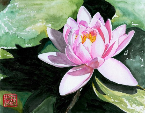 Джейн Китсон Лотос