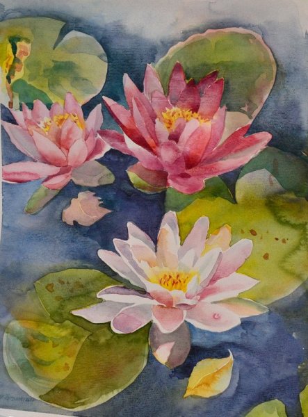 Правополушарное рисование кувшинки