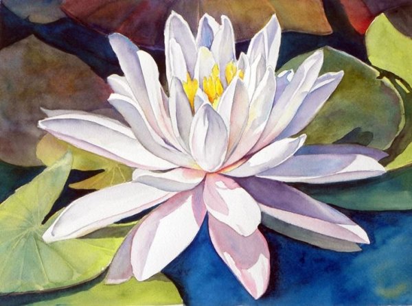 Кувшинки пастелью