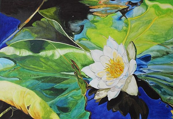 Озеро с кувшинками акварель