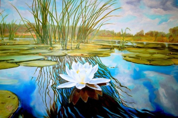 Лотос живопись