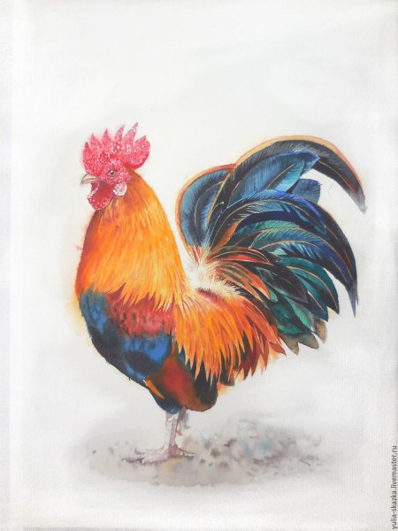 Петушок акварелью