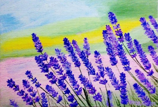 Лаванда акварелью для начинающих