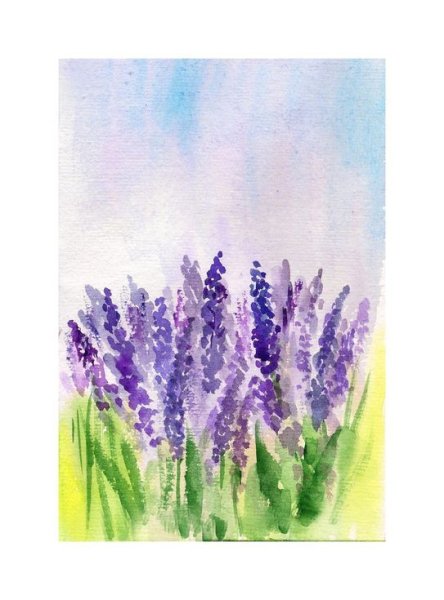 Лаванда акварельными красками