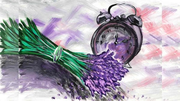 Лаванда рисунок