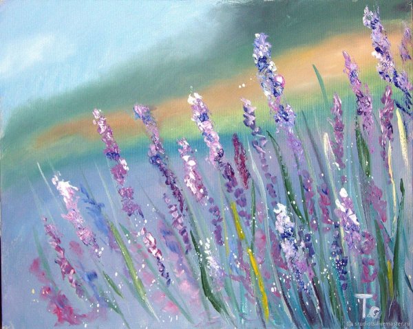 Лаванда пастелью