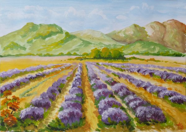 Лавандовое поле картина гуашью