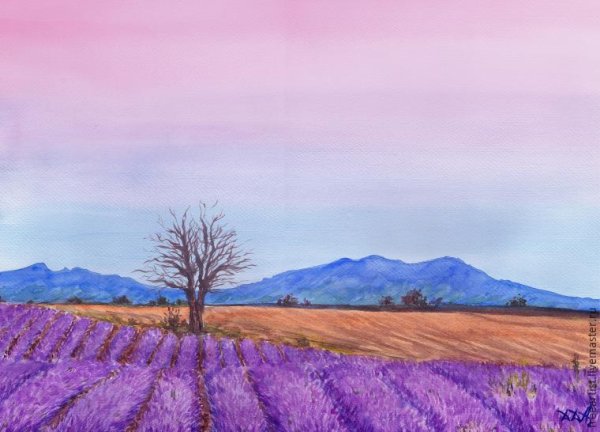 Лавандовое поле акварелью