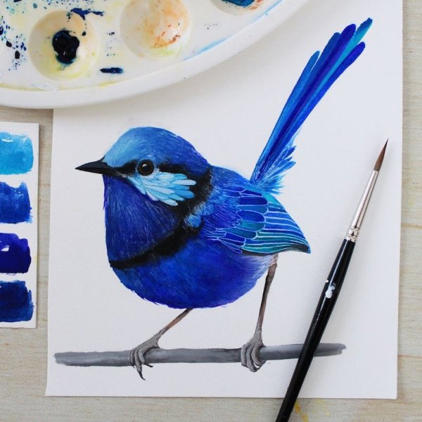 Рисование красивой птицы