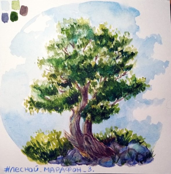 Дерево живопись гуашь