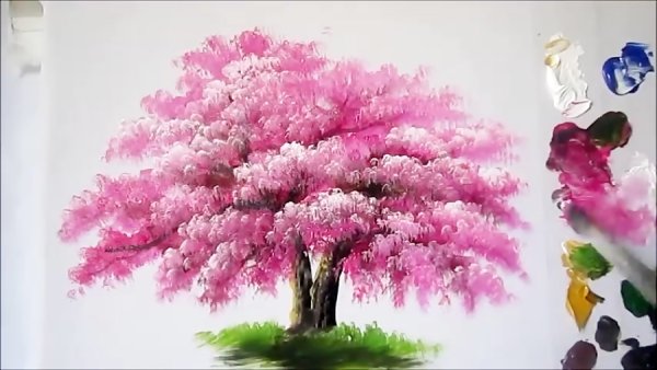 Правополушарное рисование дерево Сакура
