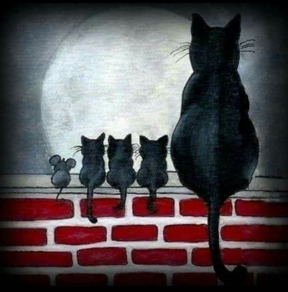 Черный кот картина