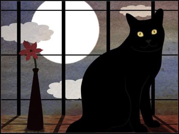 Кошка на окне рисунок