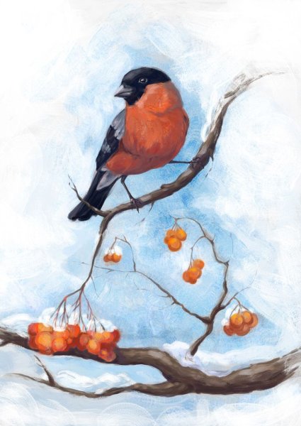 Снегири на ветке