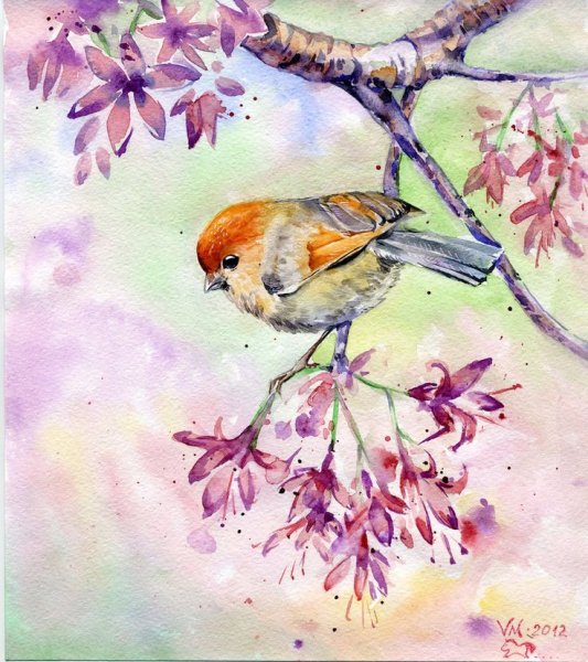 Птицы на ветке акварель