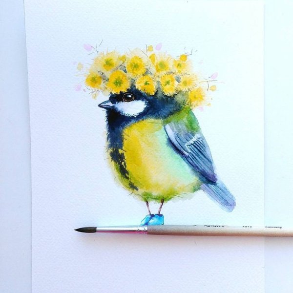 Соловьева Евгения акварель птицы