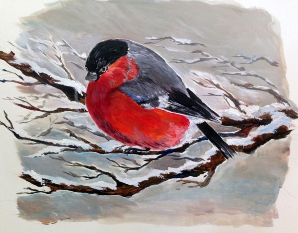Снегирь гуашью