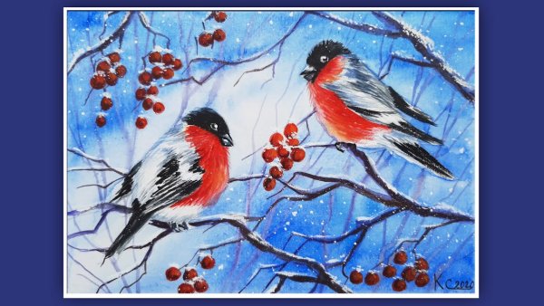 Снегирь рисунок фломастерами