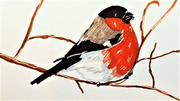 Снегирь живопись Мария Павлова
