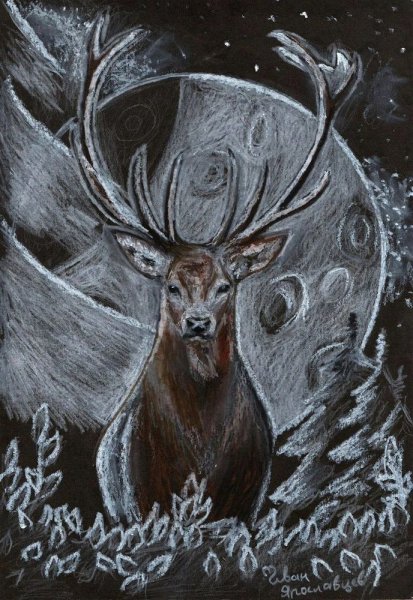 Северный олень пастелью